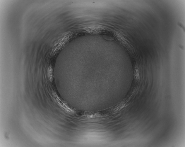 X0000102801108200808181154