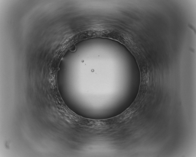 X0000102801109200808181154