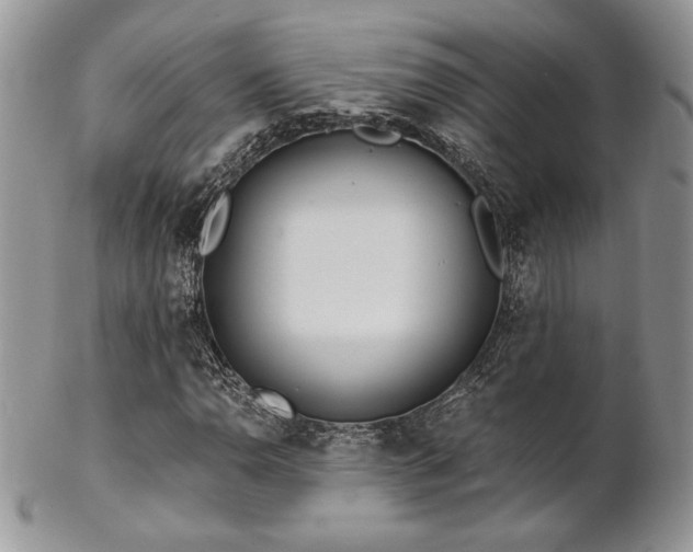 X0000102801110200808181154