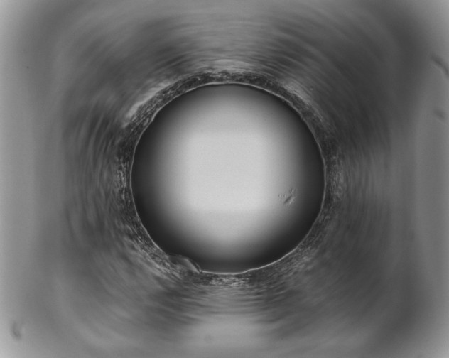 X0000102801112200808181155