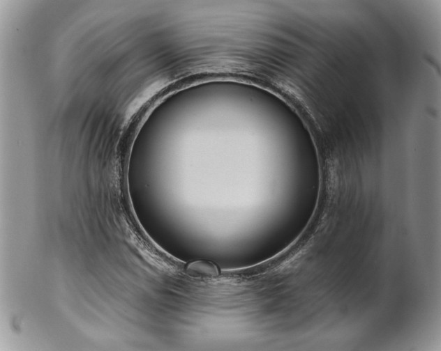 X0000102801114200808181155