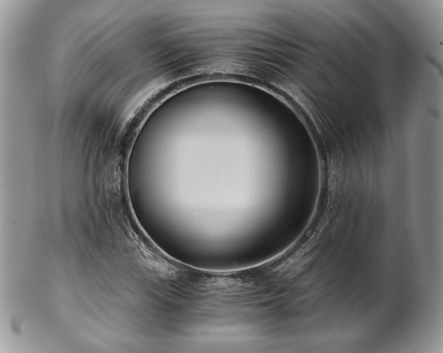 X0000102801115200808181155