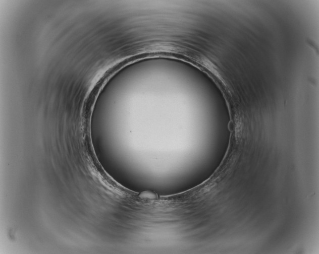 X0000102801116200808181155
