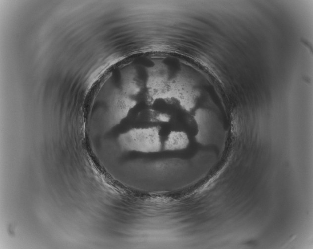 X0000102801117200808181155