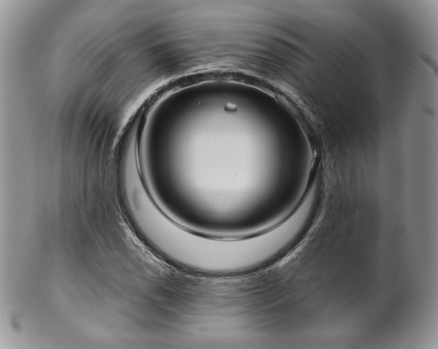 X0000102801118200808181155