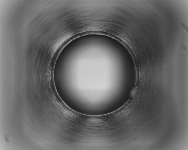 X0000102801119200808181155