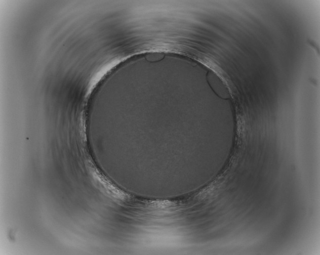 X0000102801120200808181155