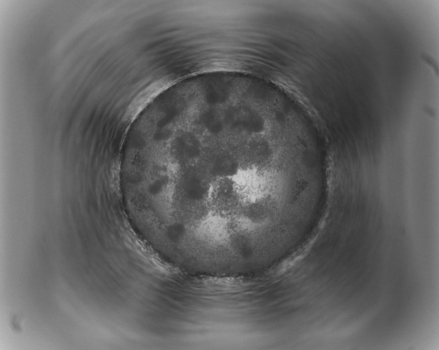 X0000102801121200808181155