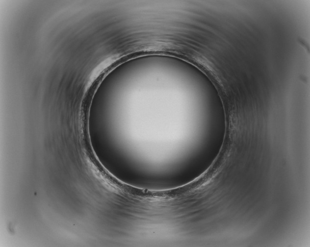 X0000102801122200808181155