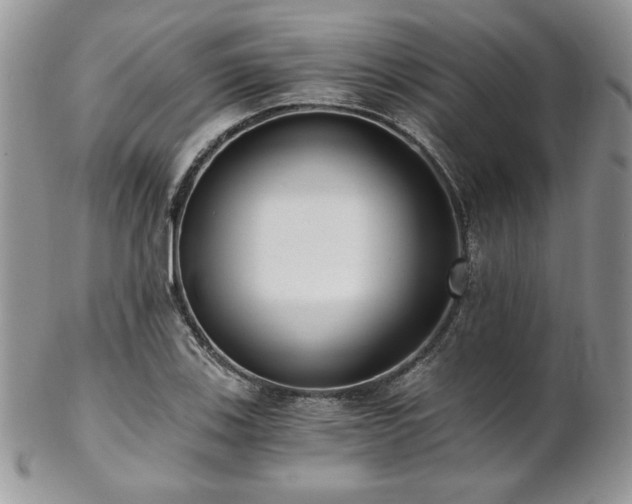 X0000102801123200808181155