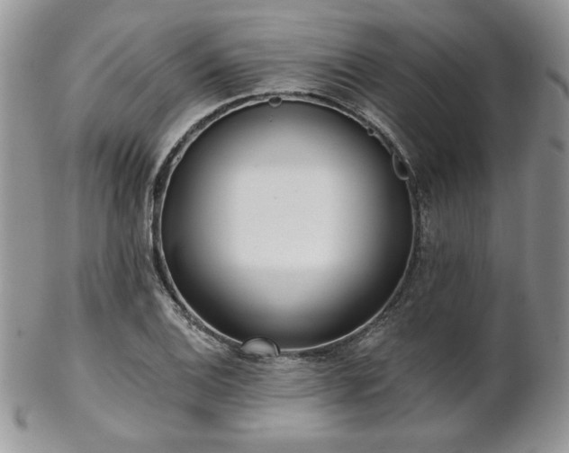 X0000102801124200808181155