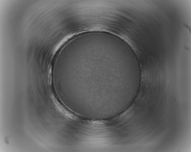X0000102801126200808181155