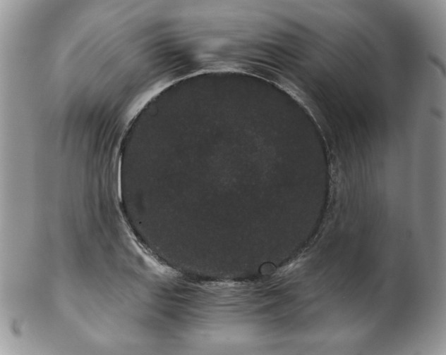 X0000102801127200808181155