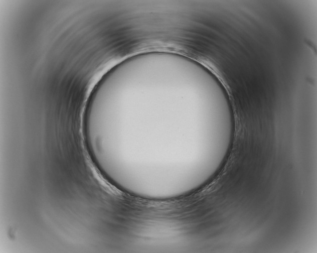 X0000102801128200808181155