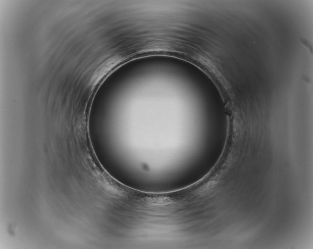 X0000102801129200808181155