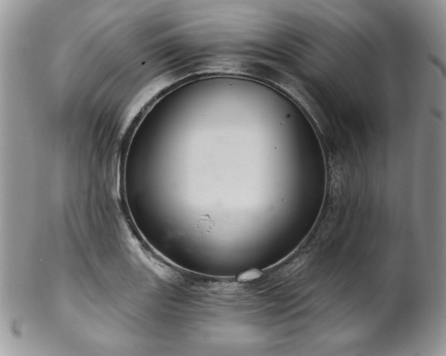X0000102801131200808181155