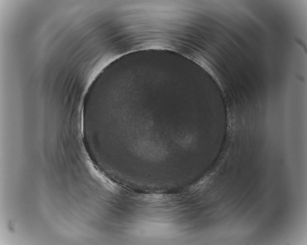 X0000102801132200808181155