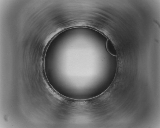 X0000102801134200808181155