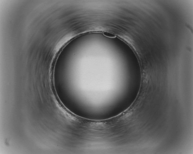 X0000102801135200808181155