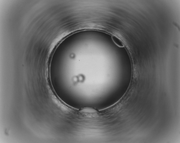 X0000102801136200808181155