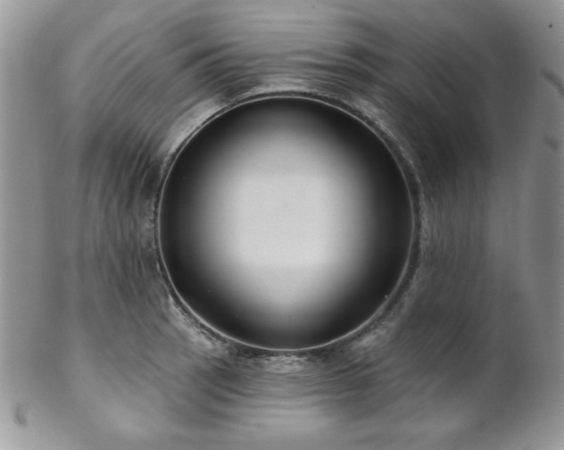 X0000102801137200808181155