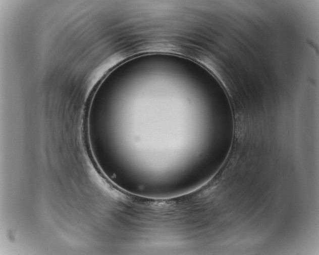 X0000102801139200808181155