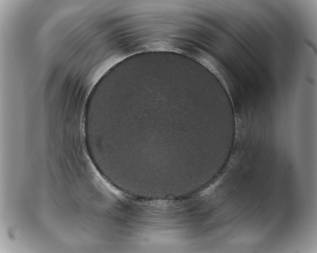 X0000102801141200808181155
