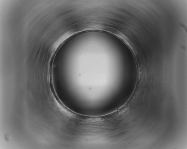 X0000102801143200808181155
