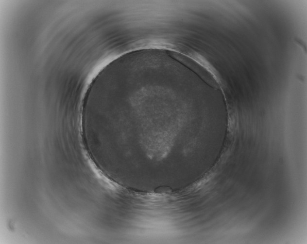X0000102801144200808181155