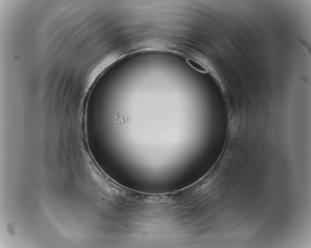 X0000102801146200808181155