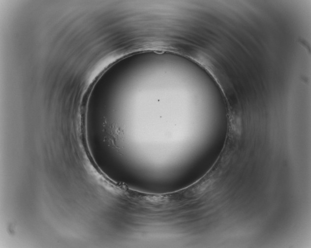 X0000102801147200808181155