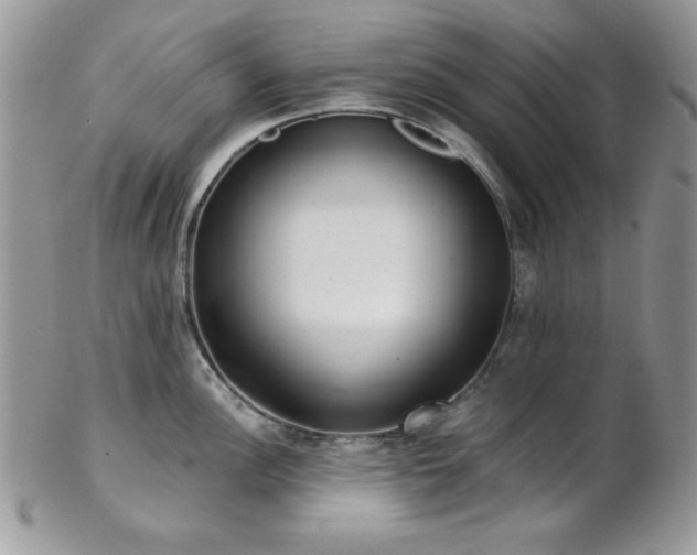 X0000102801148200808181155