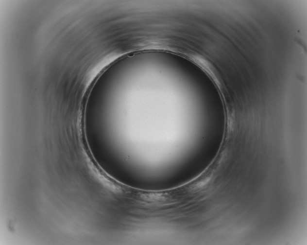 X0000102801149200808181155