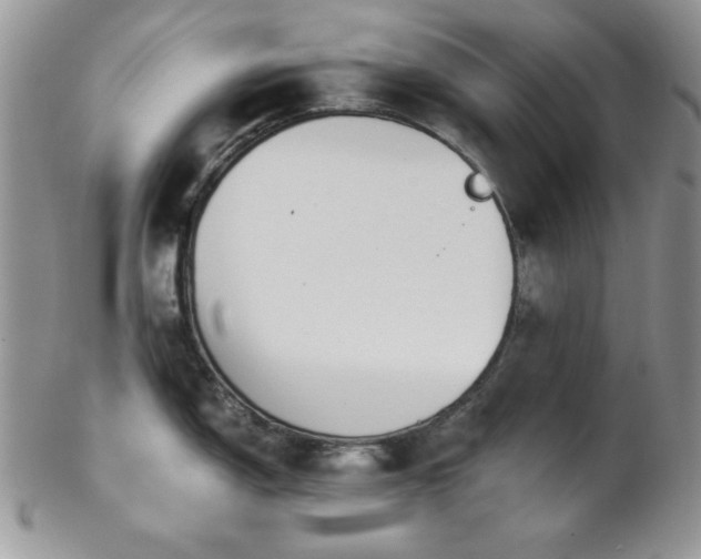 X0000102801150200808181155
