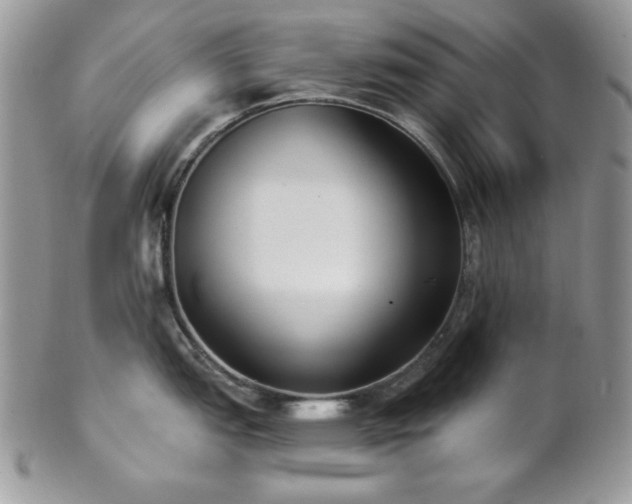 X0000102801151200808181155