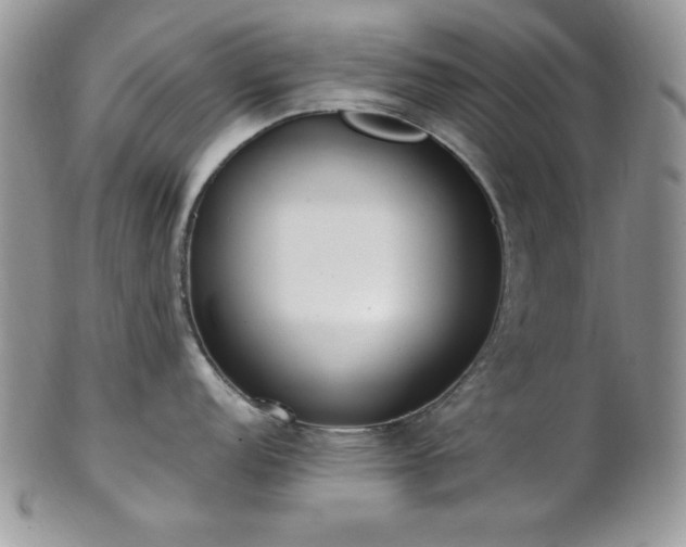 X0000102801152200808181155