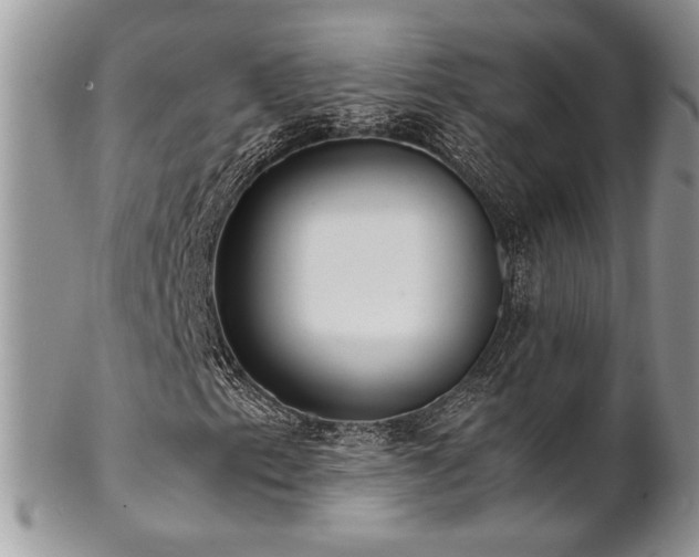 X0000102801153200808181154