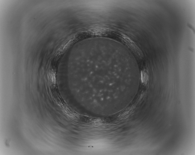 X0000102801155200808181154