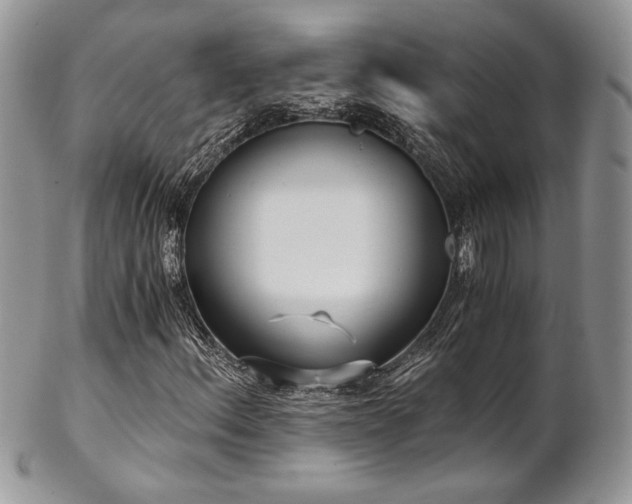 X0000102801156200808181154