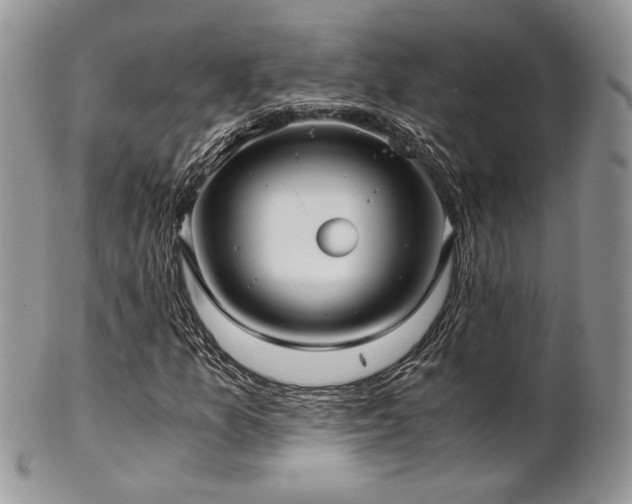 X0000102801157200808181154