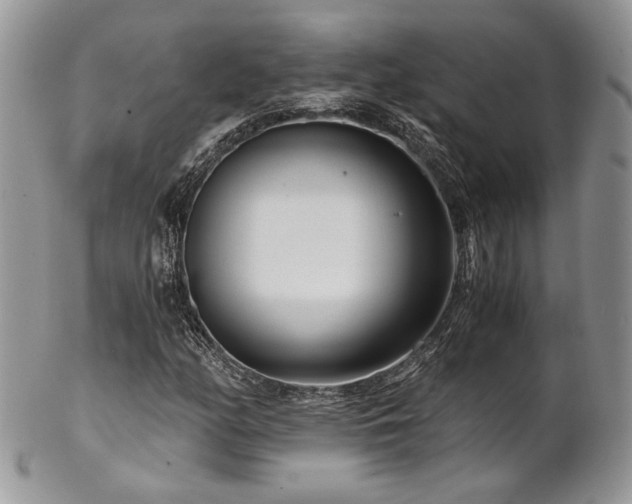 X0000102801158200808181154