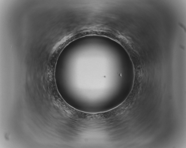 X0000102801159200808181154