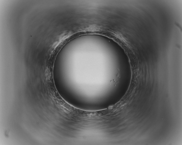 X0000102801160200808181154