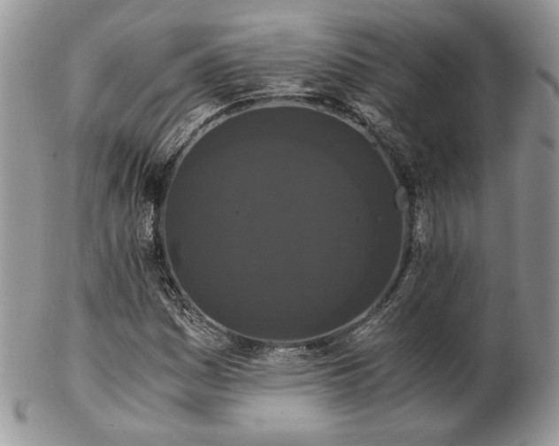 X0000102801161200808181154