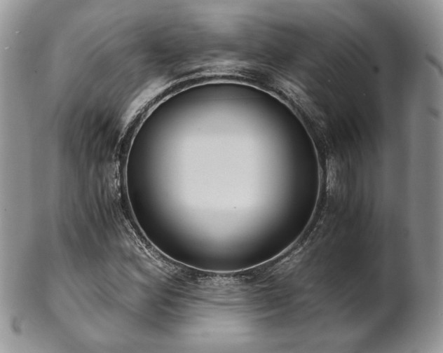 X0000102801164200808181154