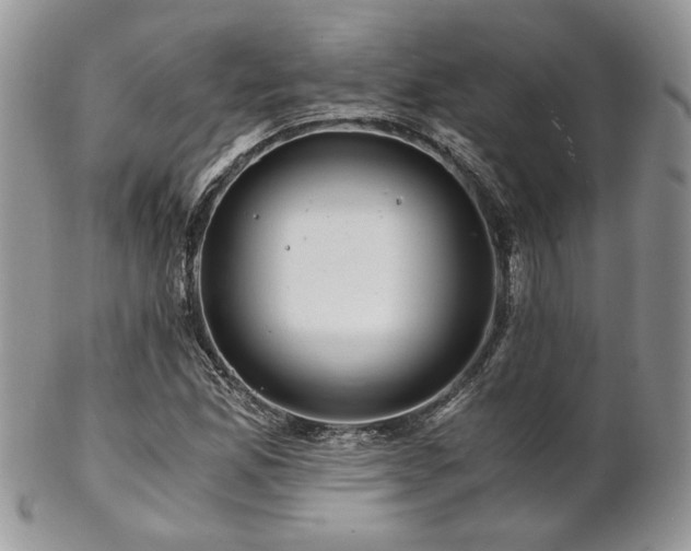 X0000102801165200808181154