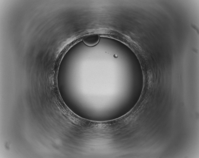 X0000102801166200808181154