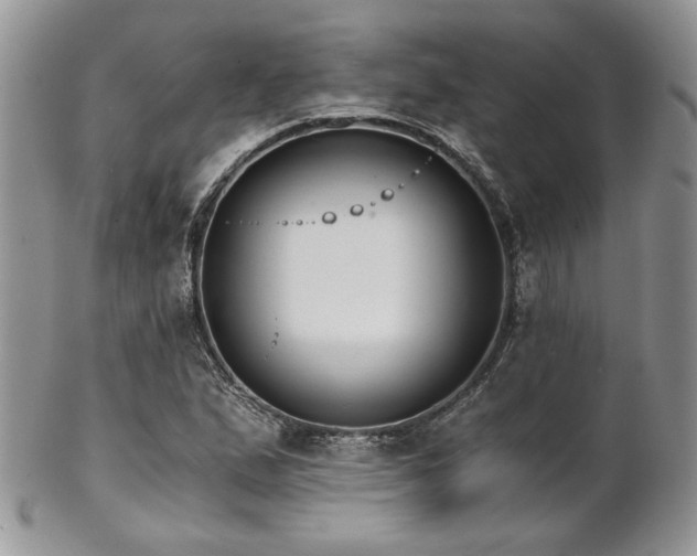 X0000102801167200808181154