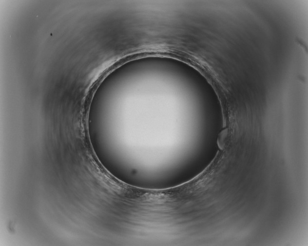 X0000102801168200808181154