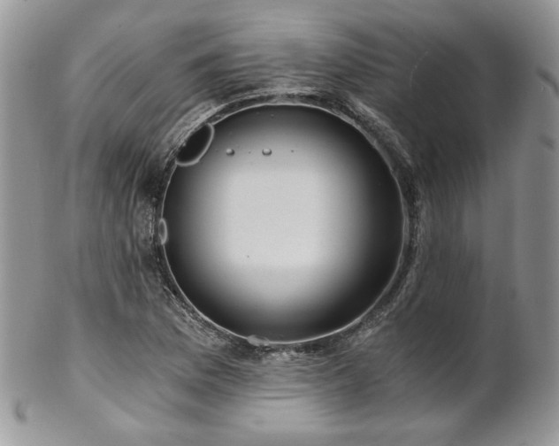 X0000102801169200808181154